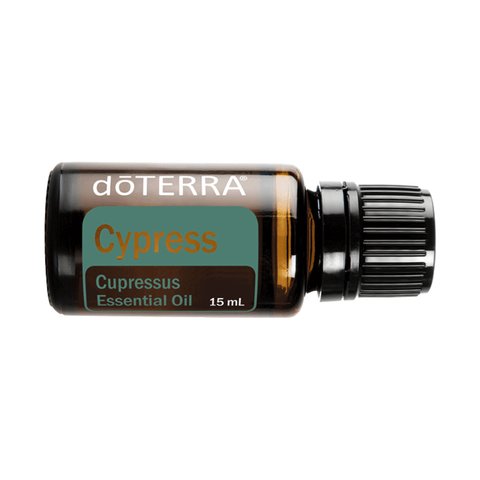 Кипарис doTERRA